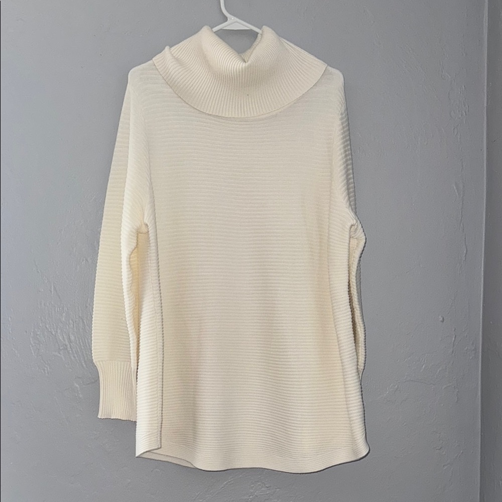 Cyrus Cream Turtleneck Sweater Smooth Knit Tunic 77